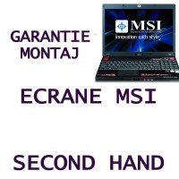 ecran_pentru_msi27.jpg
