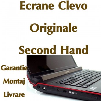 ecran_pentru_clevo41.jpg