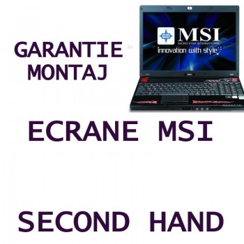ecran_pentru_msi.jpg