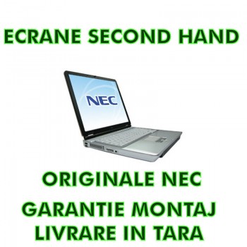 ecran_pentru_nec182.jpg